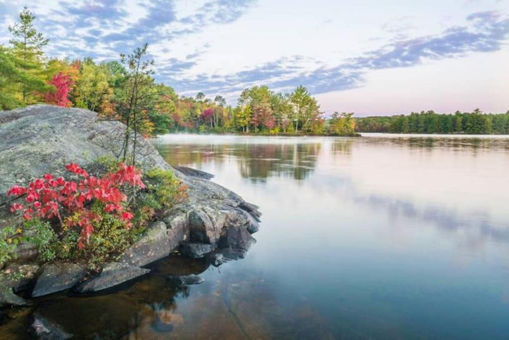 Private Cottage With Huge Private Dog Park! Barrys Bay Экстерьер фото