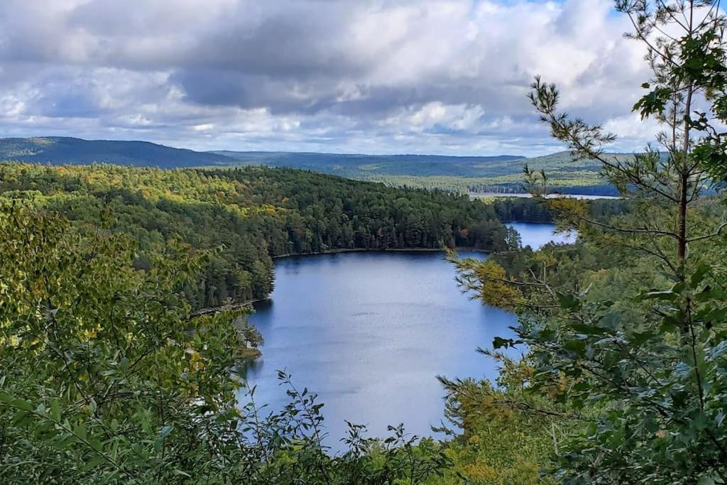 Private Cottage With Huge Private Dog Park! Barrys Bay Экстерьер фото