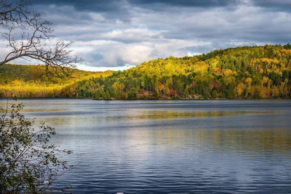Private Cottage With Huge Private Dog Park! Barrys Bay Экстерьер фото